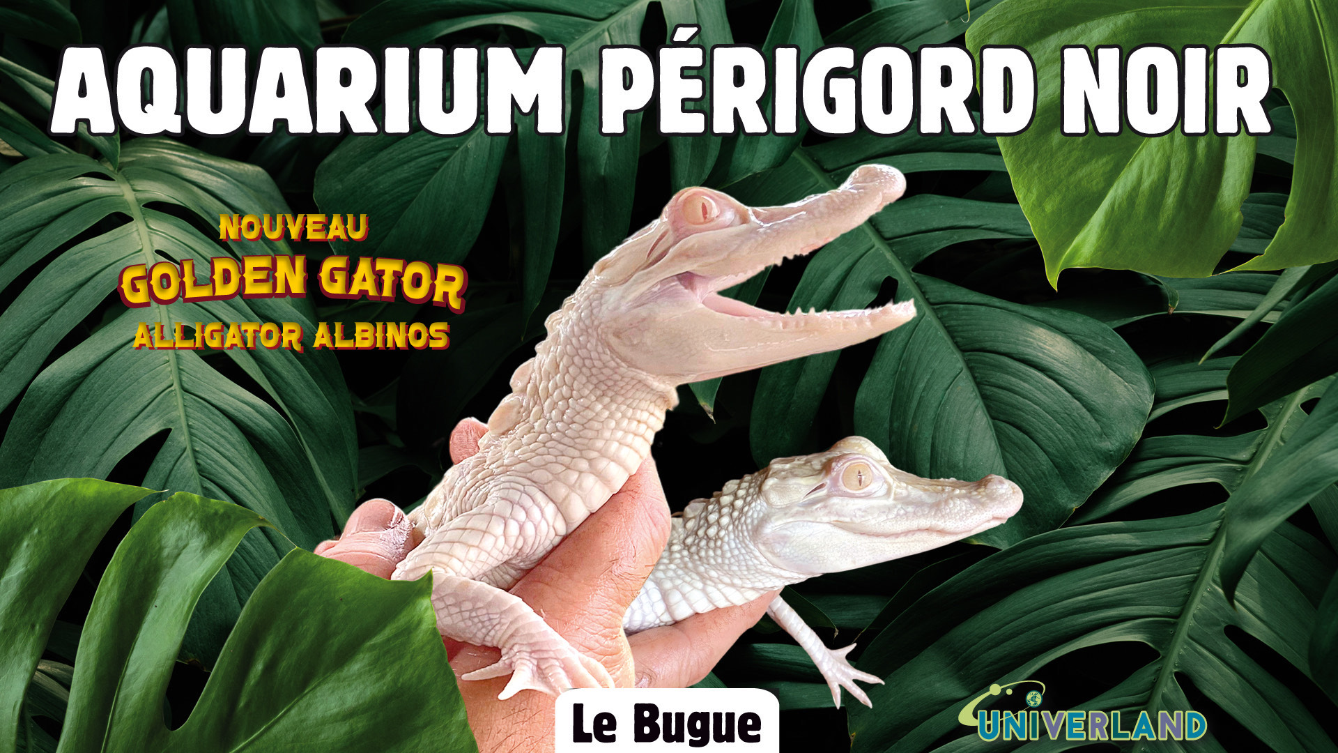 Aquarium Périgord Noir Dordogne.