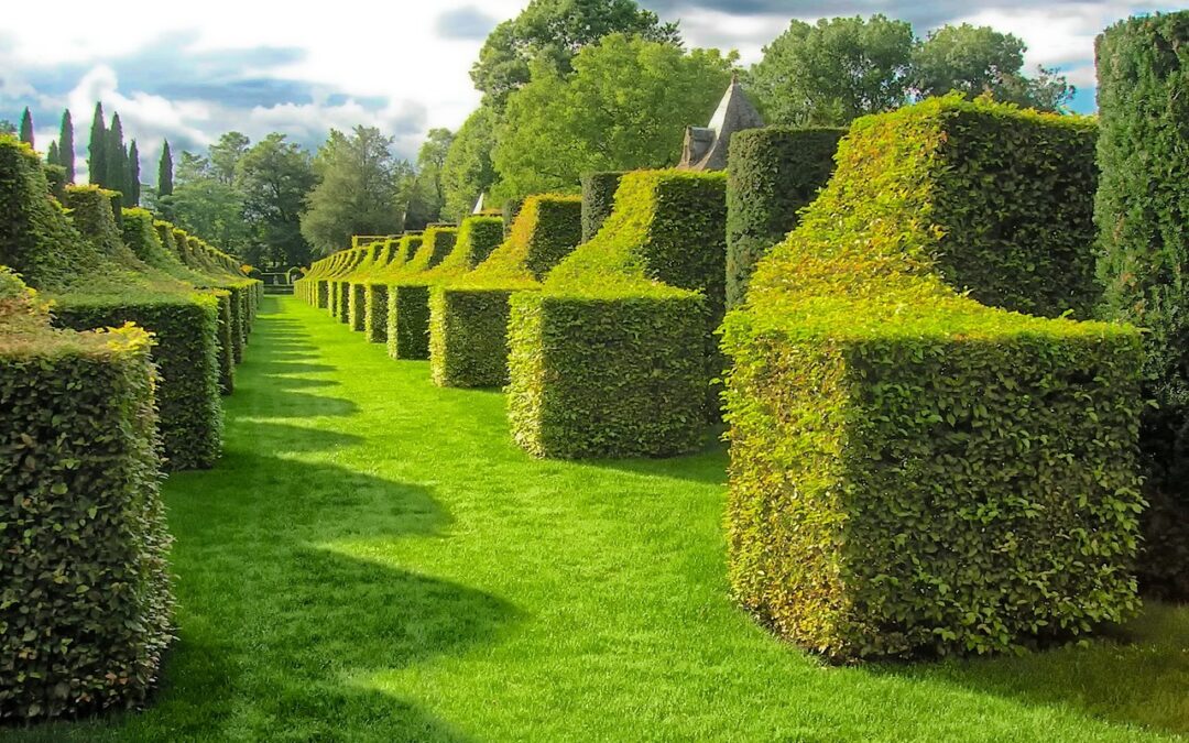 Jardins d’Eyrignac : l’art topiaire au cœur du Périgord Noir
